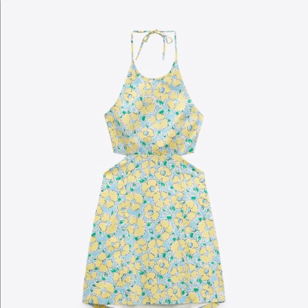 Zara spring dress! New with tags. Never been worn!